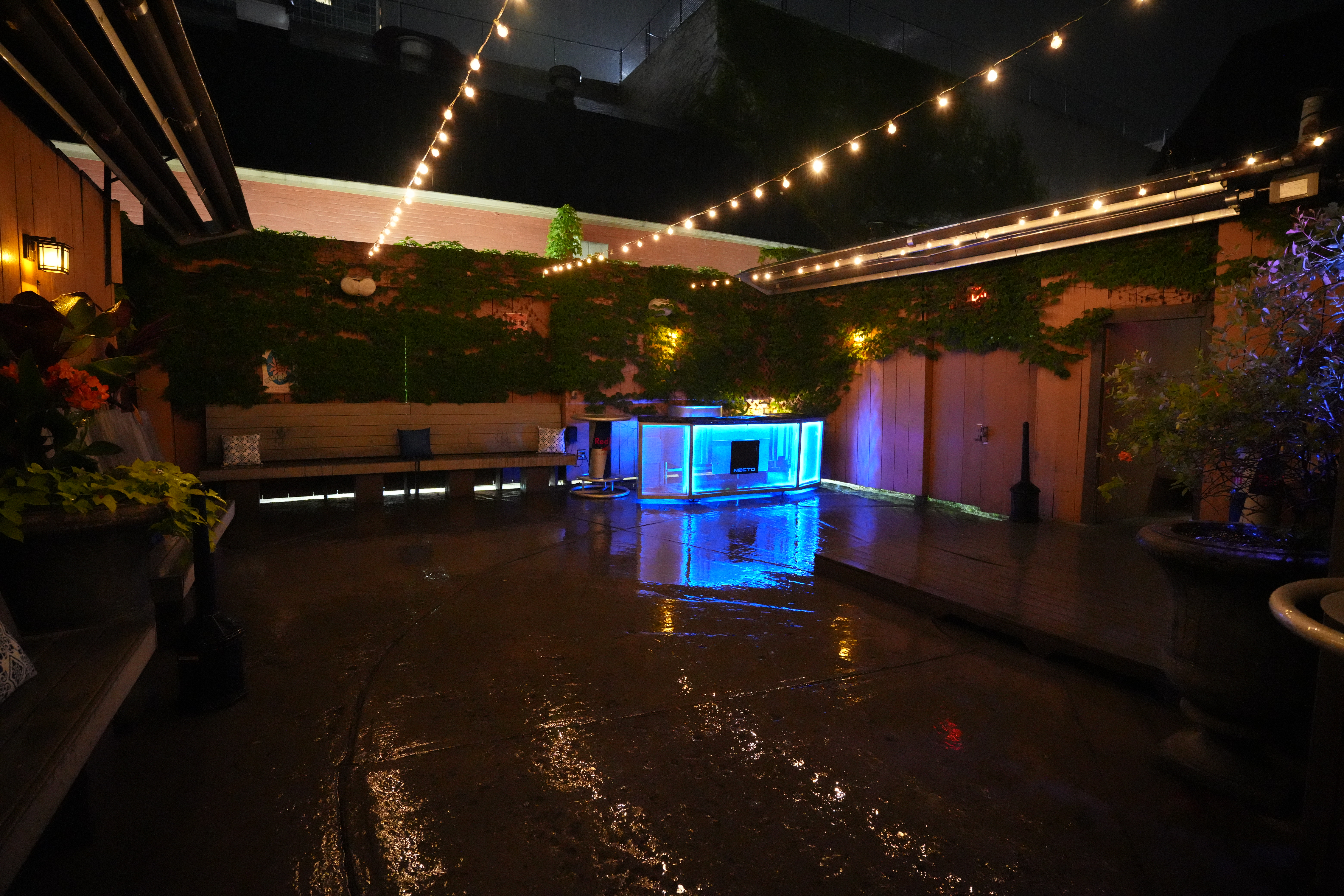 Press Materials | Necto Dance Club & Event Venue, Ann Arbor, Michigan